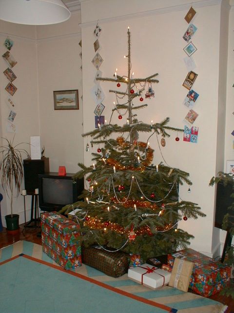 The Christmas Tree with presents under it.jpg (183714 bytes)